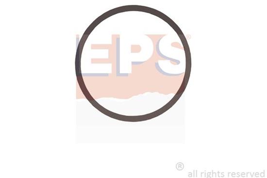EPS-1890 729
